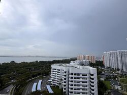 Seaside Residences (D15), Apartment #513579681